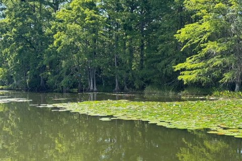 Terreno en venta en Leesburg, Florida № 1806696 - foto 11