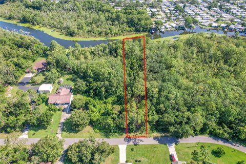 Terreno en venta en Leesburg, Florida № 1806696 - foto 3