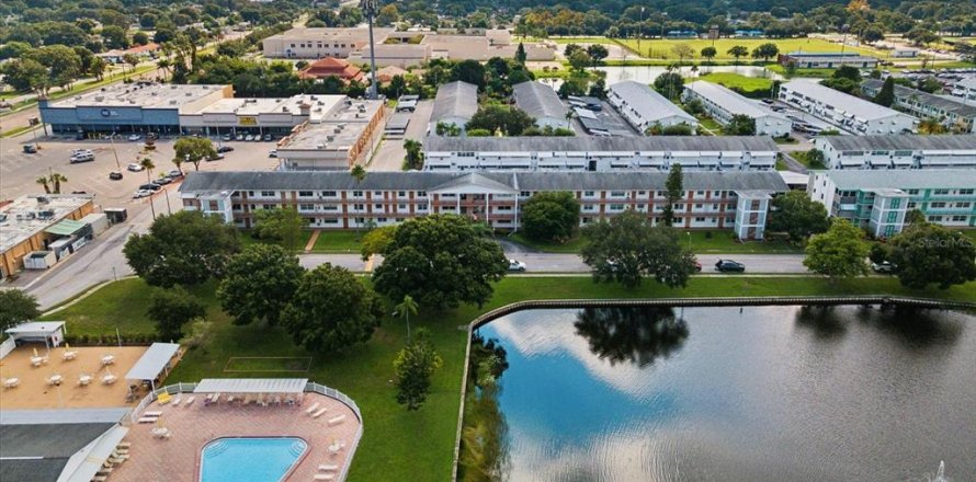 Condo in Saint Petersburg, Florida, 2 bedrooms  № 1810926
