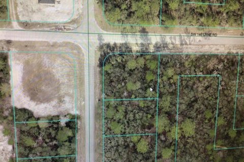 Land in Ocala, Florida № 2161653 - photo 2