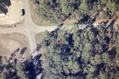 Land in Ocala, Florida № 2161653 - photo 3