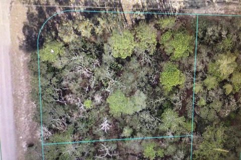 Land in Ocala, Florida № 2161653