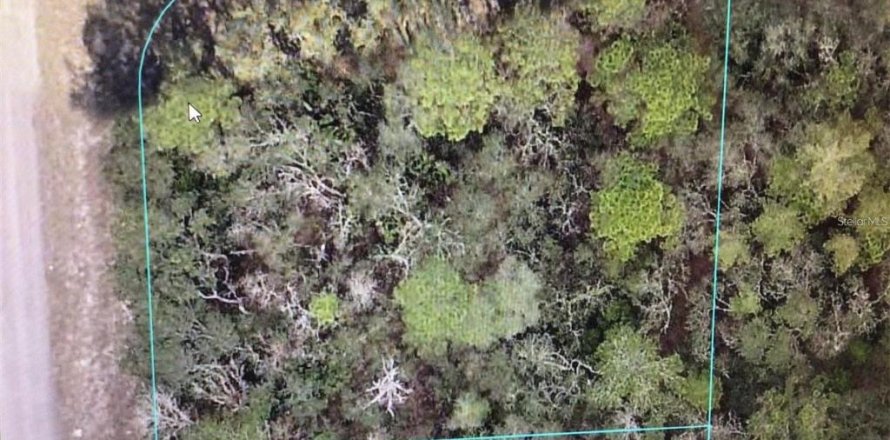 Land in Ocala, Florida № 2161653