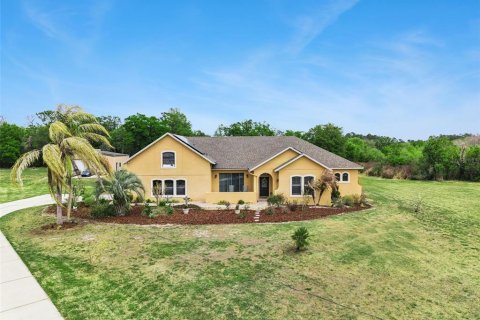 Villa ou maison à Groveland, Floride 3 chambres, 308.9 m2 № 2212816