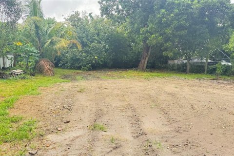 Land in Miami, Florida № 1766339 - photo 2