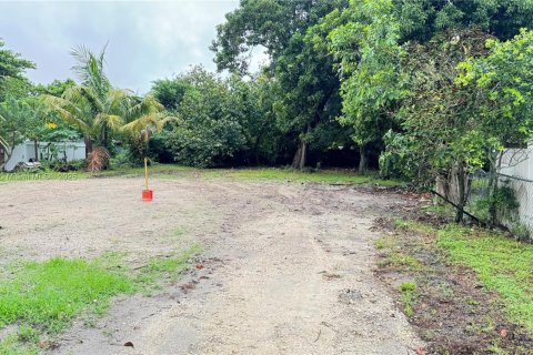 Land in Miami, Florida № 1766339 - photo 3