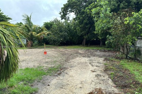 Land in Miami, Florida № 1766339 - photo 4