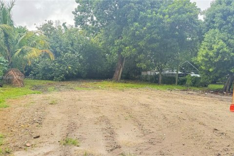 Land in Miami, Florida № 1766339 - photo 1