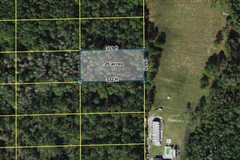 Terreno en venta en Polk City, Florida № 2160810 - foto 2