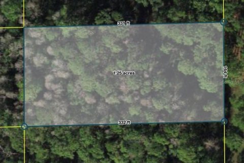 Terrain à Polk City, Floride № 2160810