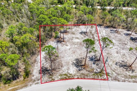 Land in Punta Gorda, Florida № 2164753 - photo 6