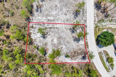 Land in Punta Gorda, Florida № 2164753 - photo 9
