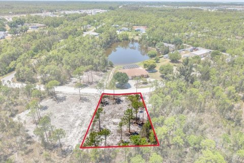 Land in Punta Gorda, Florida № 2164753 - photo 3