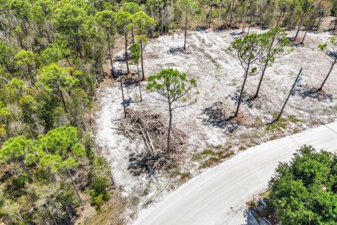 Land in Punta Gorda, Florida № 2164753 - photo 4