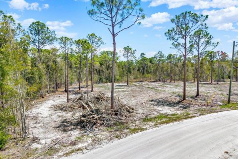 Land in Punta Gorda, Florida № 2164753 - photo 2