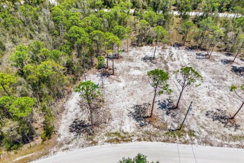 Land in Punta Gorda, Florida № 2164753 - photo 5