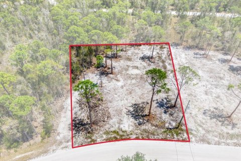 Land in Punta Gorda, Florida № 2164753 - photo 7