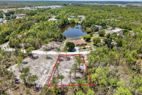 Land in Punta Gorda, Florida № 2164753