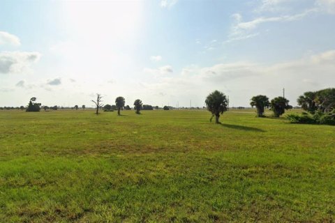 Land in Placida, Florida № 2165479 - photo 2
