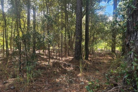 Terrain à Dunnellon, Floride № 2125201