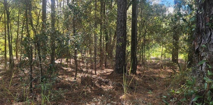 Terreno en Dunnellon, Florida № 2125201