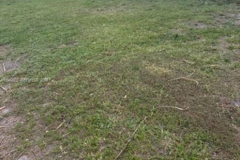 House in Miami, Florida 3 bedrooms, 127 sq.m. № 2000985 - photo 21