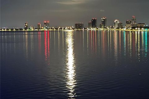 Condo in Tampa, Florida, 3 bedrooms  № 2272753 - photo 28