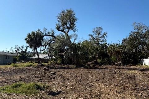 Terreno en venta en Englewood, Florida № 2148471 - foto 4