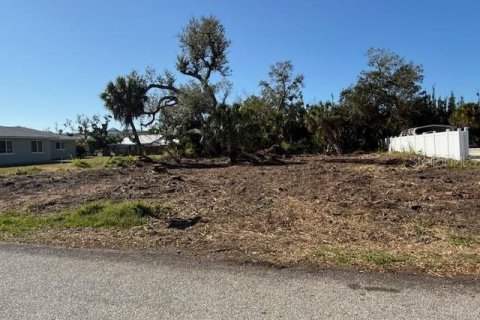 Terreno en venta en Englewood, Florida № 2148471 - foto 3