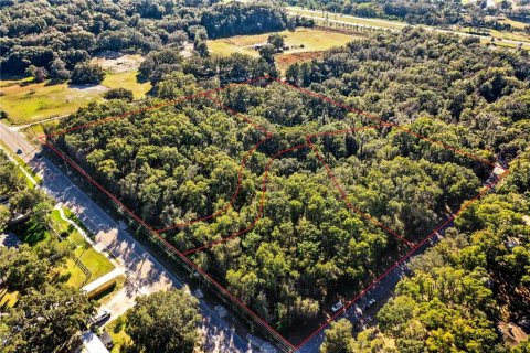 Land in Apopka, Florida № 214455 - photo 11