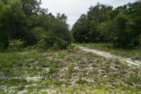 Land in Port Charlotte, Florida № 2215149 - photo 4