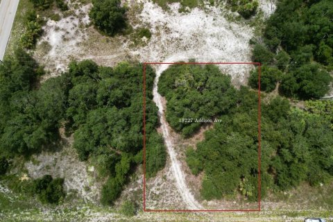 Land in Port Charlotte, Florida № 2215149 - photo 3