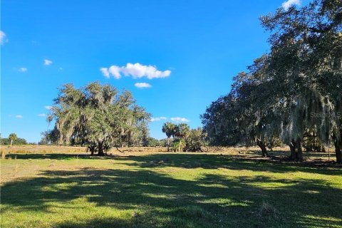 Land in Venus, Florida № 2142669 - photo 9