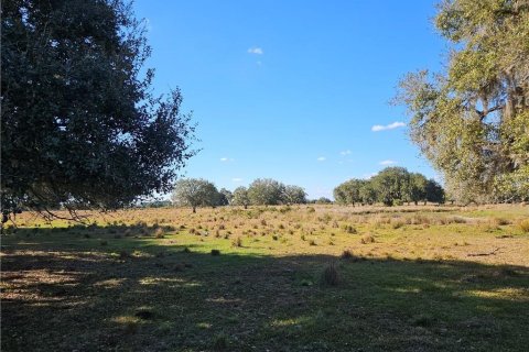 Land in Venus, Florida № 2142669 - photo 5