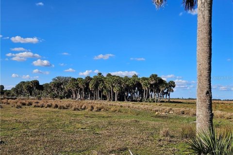 Land in Venus, Florida № 2142669 - photo 3
