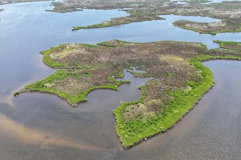 Купить земельный участок в Кристал-Ривер, Флорида № 1795656 - фото 19