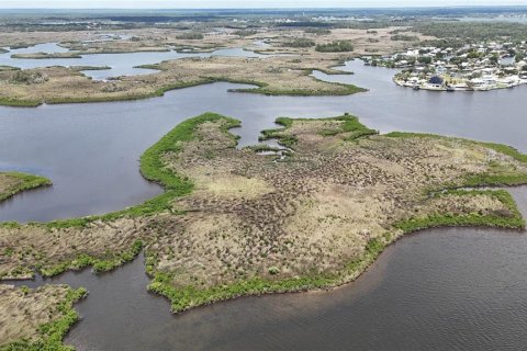 Купить земельный участок в Кристал-Ривер, Флорида № 1795656 - фото 25
