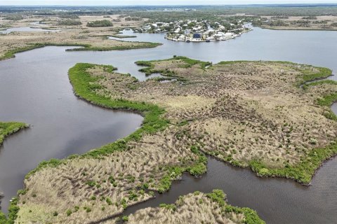 Купить земельный участок в Кристал-Ривер, Флорида № 1795656 - фото 23