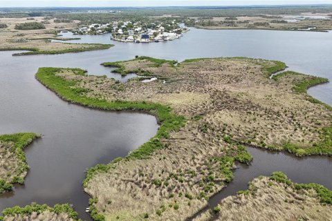 Купить земельный участок в Кристал-Ривер, Флорида № 1795656 - фото 22