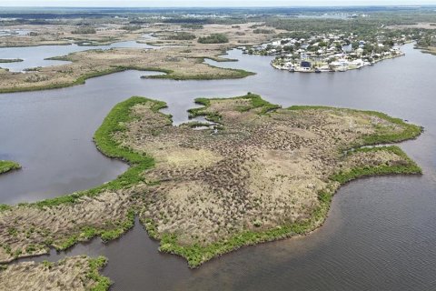 Купить земельный участок в Кристал-Ривер, Флорида № 1795656 - фото 24