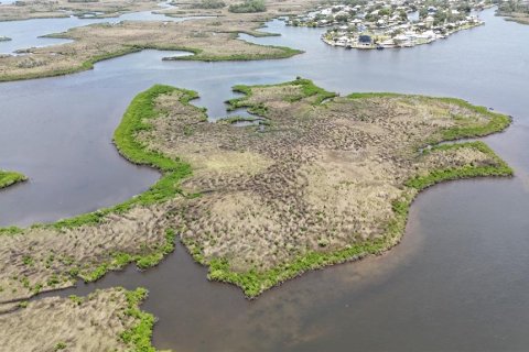 Купить земельный участок в Кристал-Ривер, Флорида № 1795656 - фото 15