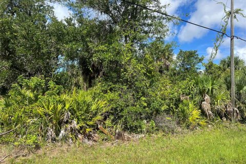Terreno en Rotonda, Florida № 2198745