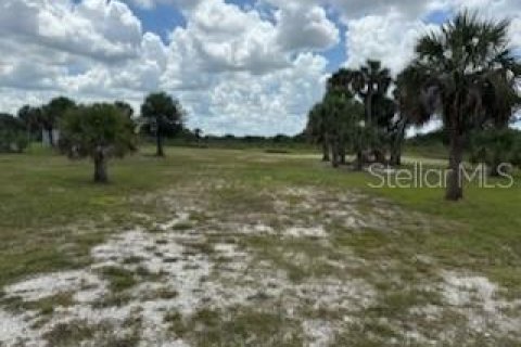 Land in Okeechobee, Florida № 1883228 - photo 22