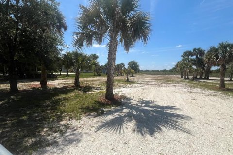 Land in Okeechobee, Florida № 1883228 - photo 6