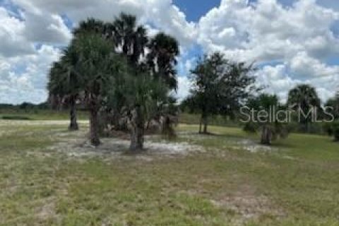 Land in Okeechobee, Florida № 1883228 - photo 25