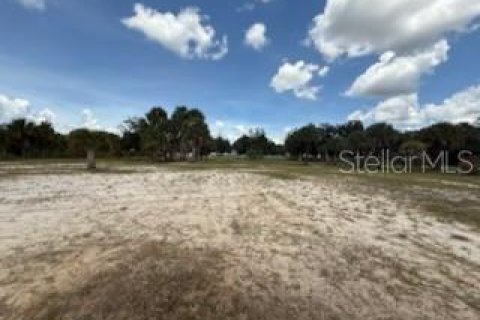 Land in Okeechobee, Florida № 1883228 - photo 28