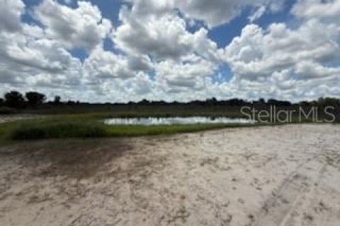 Land in Okeechobee, Florida № 1883228 - photo 27