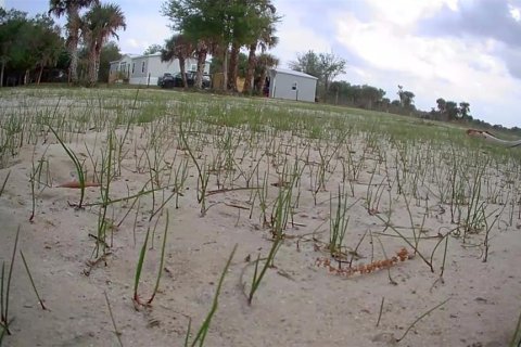 Land in Okeechobee, Florida № 1883228 - photo 11