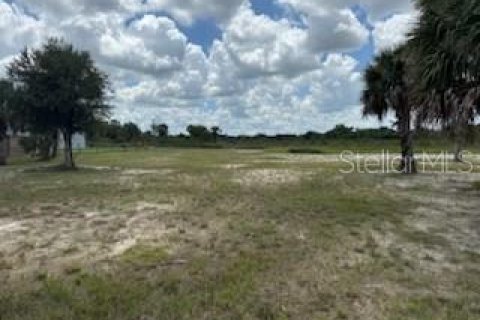 Land in Okeechobee, Florida № 1883228 - photo 26