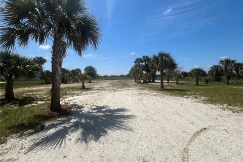 Land in Okeechobee, Florida № 1883228 - photo 5